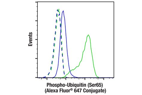 Phospho Ubiquitin Ser65 E5T1W Rabbit MAb Alexa Fluor 647