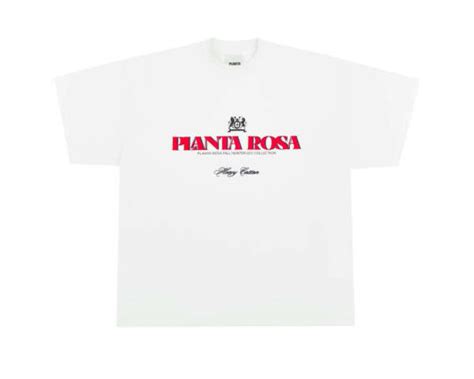Футболка planta rosa : @Kotikcatlovesex wish