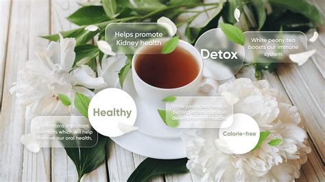 White Peony Tea Facts, Health Benefits And Side Effects - BetterMe