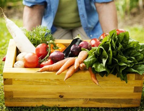 Beneficios De Una Alimentación Orgánica Revista Vive