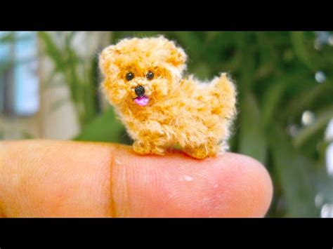 What Is The Smallest Puppy Ever