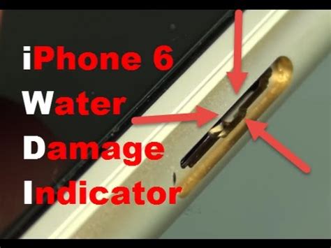 Check If Iphone Is Water Damaged With Visual Inspection Close Up