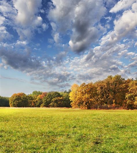 Autumn Field Stock Photo Image Of Agriculture Storm 11330452