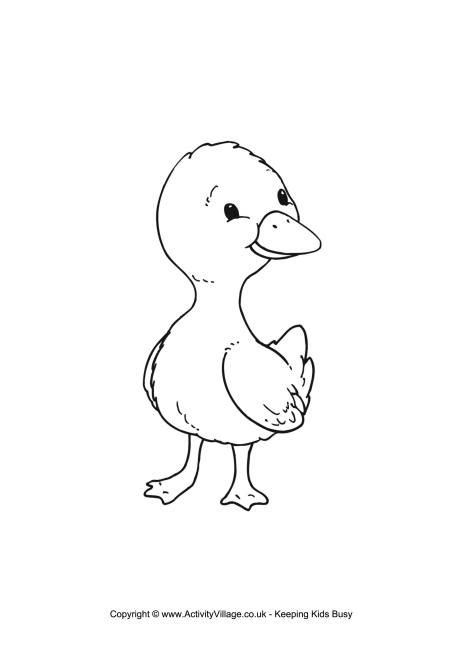 Free Outline Of A Duckling Download Free Outline Of A Duckling Png