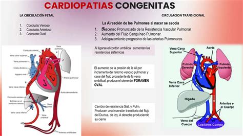 Cardiopatia Congenitas Clasificacion Presentacion Clinicas Y