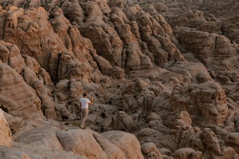 The Road Trip Guides