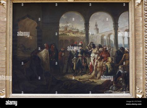 Napoleon Visiting Plague Hi Res Stock Photography And Images Alamy