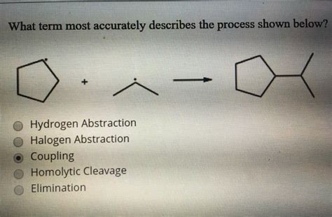 Solved What Term Most Accurately Describes The Process Shown Chegg