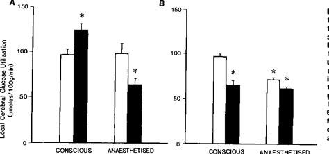 Figure 1 From Journal Of Cerebral Blood Flow And Metabolism Effects Of