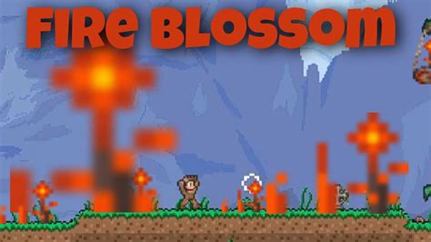 Terraria Tutorial On Fireblossom And Its Seeds Youtube