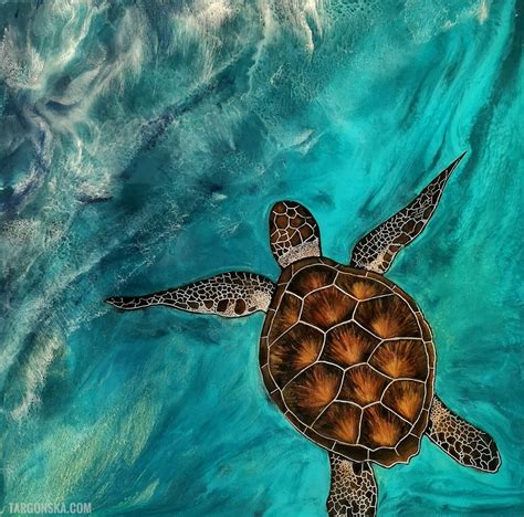 Sea turtle - Targonska.com