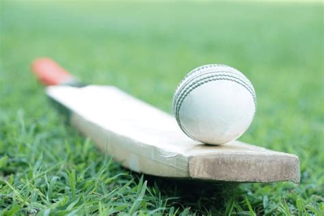 149 Cricket Bat Toy Royalty-Free Photos and Stock Images | Shutterstock