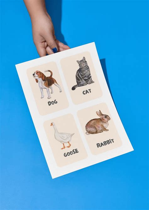 Farm Animals Flashcards And Poster Montessori Educational Etsy