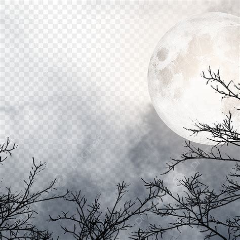 La Luna Brilla En El Bosque De Noche PNG Dibujos Luna Llena Luna