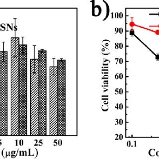 A Cell Viabilities Of Marc Cells After Incubated With Different