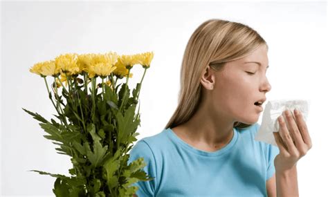 Аллергенные комнатные цветы (Много фото) - treepics.ru