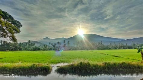 Depan Lautan Membiru Tengok Belakang Sawah Padi Menghijau