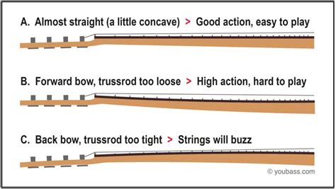 Setup Question Gear Bassbuzz Forum