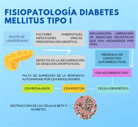 Diabetes Tipo 1 Infodm