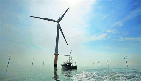 How Do Offshore Wind Farms Affect Marine Life Monitoring Project