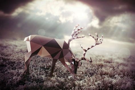 Reindeer Wallpaper ·① WallpaperTag