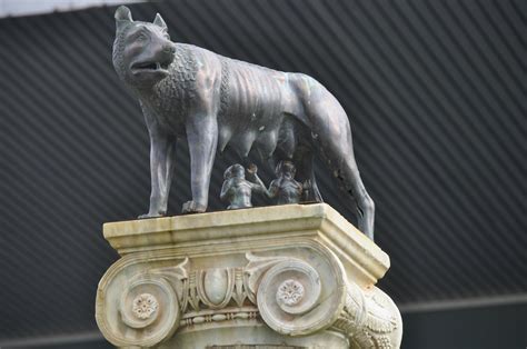 Wolf Statue Photos, Download The BEST Free Wolf Statue Stock Photos & HD Images