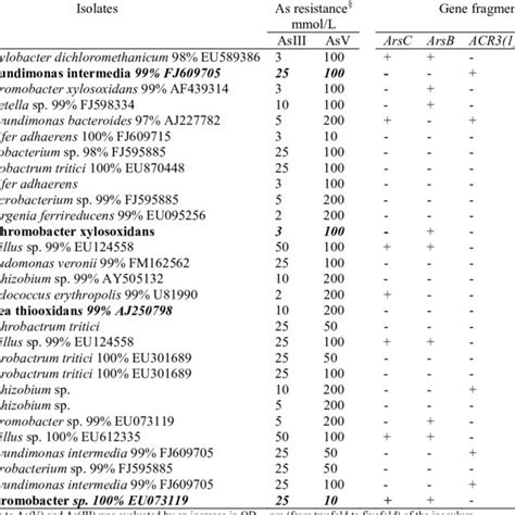 Characterization Of Bacterial Strains Isolated From The Soil Arsenic