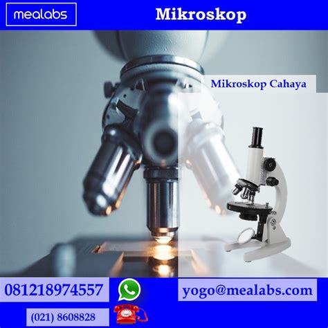 Mikroskop Cahaya Adalah ~ Mealabs Laboratory