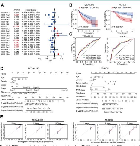 Figure 2 From Multi Omics Profiling Identifies Aldehyde Dehydrogenase 2