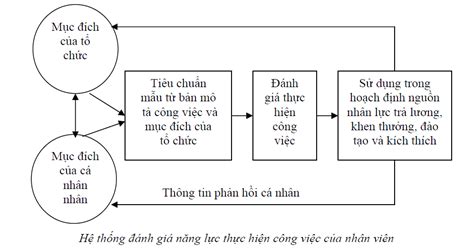 Quy Tr Nh Nh Gi Nh N Vi N V C Ch Tri N Khai Cho Doanh Nghi P