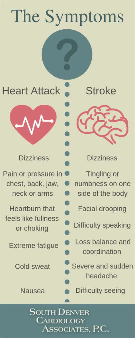 Heart Attack Vs. Stroke – What’s the Difference? (Infographic) | South ...