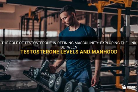 The Role Of Testosterone In Defining Masculinity Exploring The Link Between Testosterone Levels