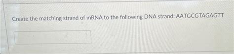 Solved Create the matching strand of mRNA to the following | Chegg.com 