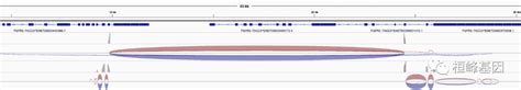 Rna 16 Sci 文章中的融合基因之可视化igv如何显示translocation Csdn博客