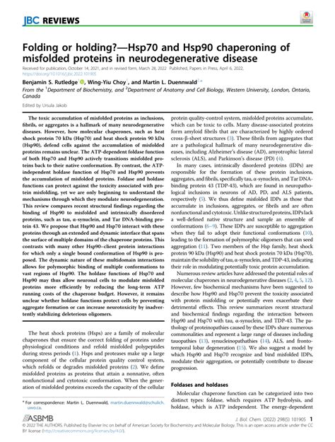 PDF Folding Or Holding Hsp70 And Hsp90 Chaperoning Of Misfolded