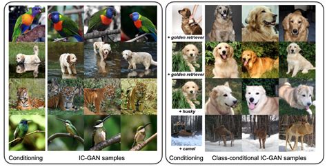 Instance-Conditioned GAN | Papers With Code