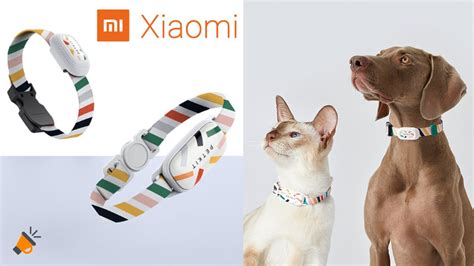 Collar inteligente Xiaomi PetKit para perros y gatos por SOLO 14€