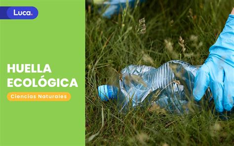 Huella ecológica y el impacto ambiental