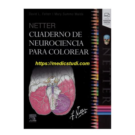 Netter Cuaderno De Neurociencia Para Colorear 1st Edition David L