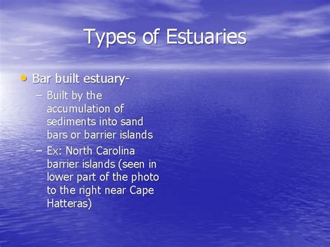 Chapter 12 Estuaries Types Of Estuaries Drowned River