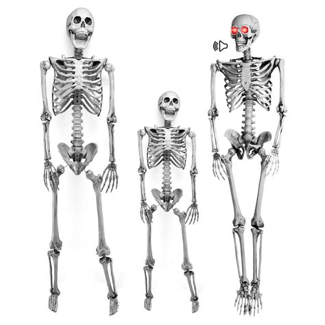 3ft 5 6ft Halloween Skull Skeleton Poseable Human Full Life Size Bone