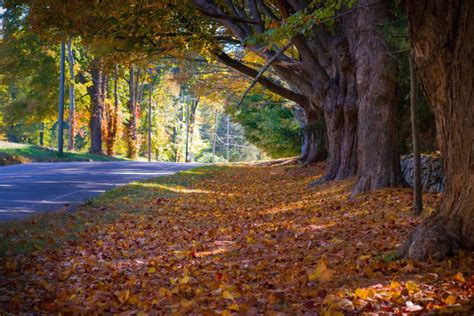 The Most Beautiful Places For Leaf Peeping This Fall