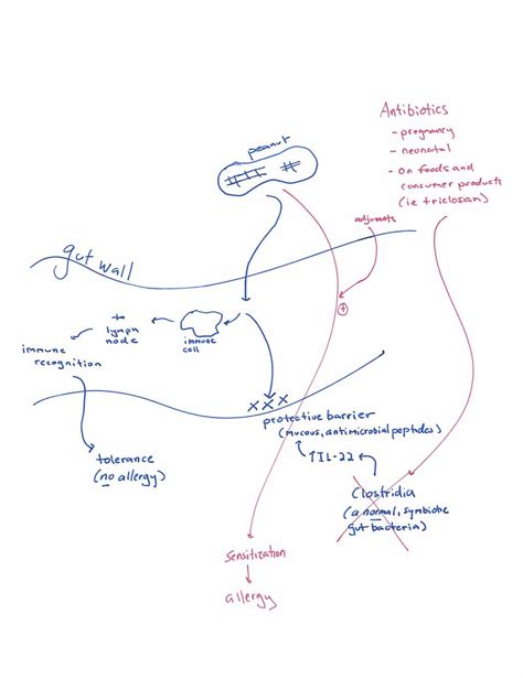 clostridia - Allergy Center of Connecticut