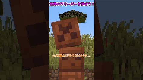 世界の様々なクリーパーを学ぼう！【マイクラ・マインクラフト】【ゆっくり実況】shorts Minecraft Summary マイクラ動画