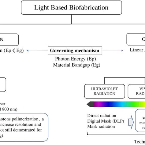 A Single Photon And Two Photon Absorption Processes B Gaussian Download Scientific Diagram