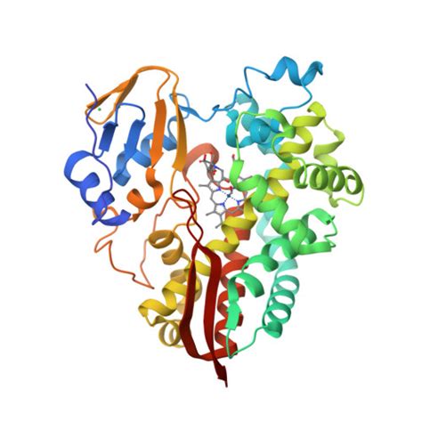 RCSB PDB 7UOR Crystal Structure Of Cytochrome P450 Enzyme CYP119 In