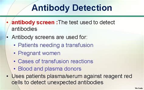 Practical Blood Bank 6 Antibody Screening Antibody Detection