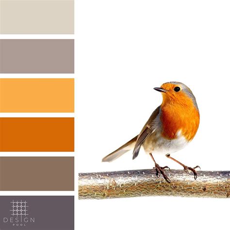 Beautiful Bird Color Palette | Taupe color palettes, Orange color palettes, Color palette