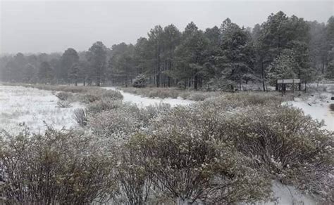 Impresionantes Postales Deja Nevada En Municipios De Chihuahua