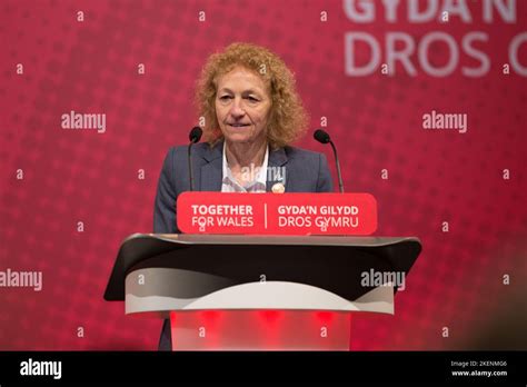 Christina Rees Mp Speaking At Welsh Labour Conference 2017 Stock